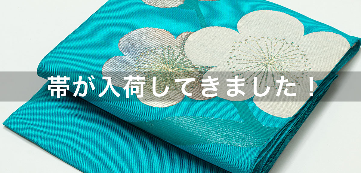 帯を探す